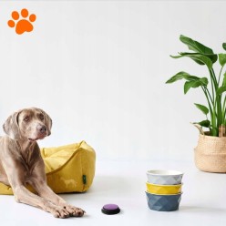 Dźwiękowe Przyciski Szkoleniowe Dla Psa Mówiące 4szt