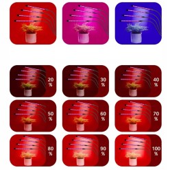 Lampa Do Uprawy Wzrostu Roślin 4 Głowice Świetlne 36W USB Timer