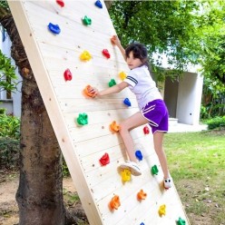 Ścianka Wspinaczkowa Kamienie Wspinaczkowe Skałki Uchwyty 25szt