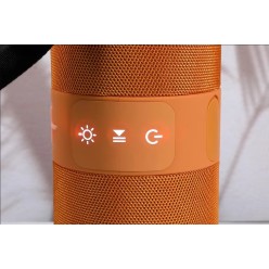 Głośnik Bluetooth z Radiem FM I Podświetleniem LED