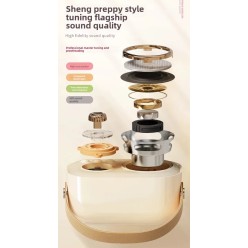 Zestaw 2w1 Głośnik Bluetooth z Mikrofonem Karaoke w Stylu Retro