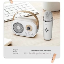 Zestaw 2w1 Głośnik Bluetooth z Mikrofonem Karaoke w Stylu Retro