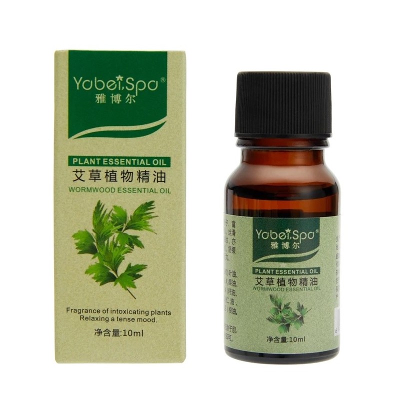 Zestaw Rozgrzewający Masażer Do Ciała Głowy Brzucha 6 trybów USB z Olejkiem Warmwood