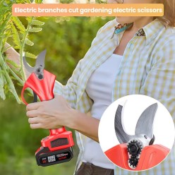 Sekator Elektryczny z Wysięgnikiem 2 Metry 2x Akumulator