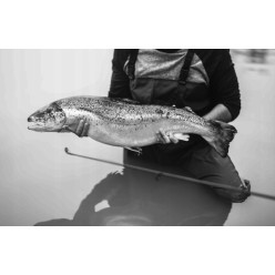 Kopio tuotteesta Wodoodporne Spodnie Wodery Wędkarskie z Szelkami R. 43