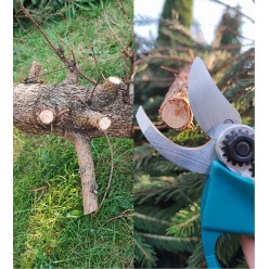 Sekator Akumulatorowy 42V 2x Elektryczne Nożyce Ultra Mocny