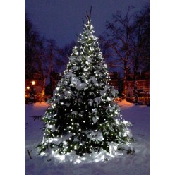 Świąteczne Lampki Choinkowe Zimne Białe 1000 LED 8 Funkcji