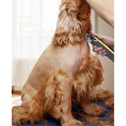 Profesjonalna Bezprzewodowa Maszynka Trymer do Strzyżenia Zwierząt Wysoka Jakość Wykonania 6 Nakładek 1mm-13mm